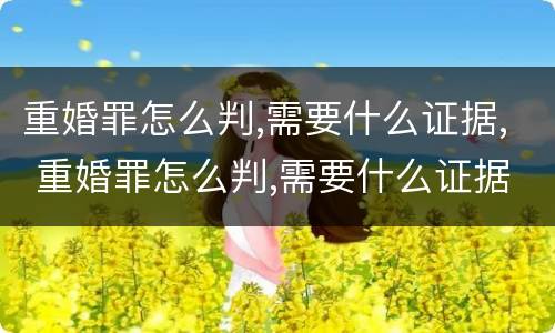 重婚罪怎么判,需要什么证据, 重婚罪怎么判,需要什么证据呢
