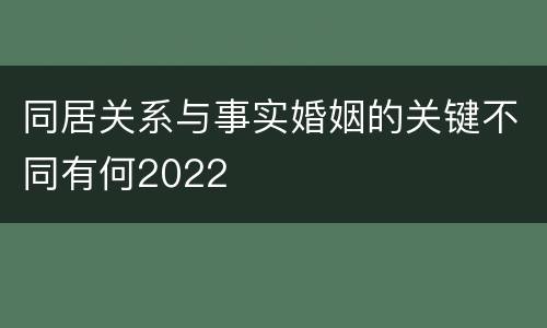 同居关系与事实婚姻的关键不同有何2022