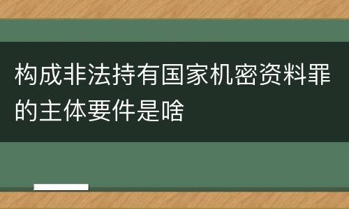 构成非法持有国家机密资料罪的主体要件是啥