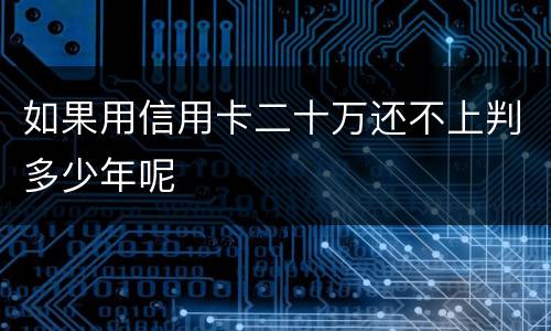 如果用信用卡二十万还不上判多少年呢