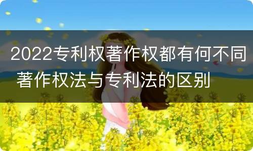 2022专利权著作权都有何不同 著作权法与专利法的区别