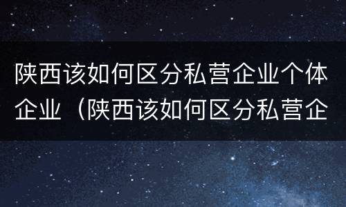 陕西该如何区分私营企业个体企业（陕西该如何区分私营企业个体企业）
