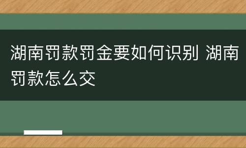 湖南罚款罚金要如何识别 湖南罚款怎么交
