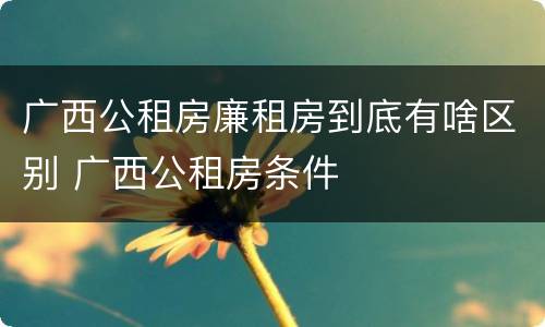 广西公租房廉租房到底有啥区别 广西公租房条件