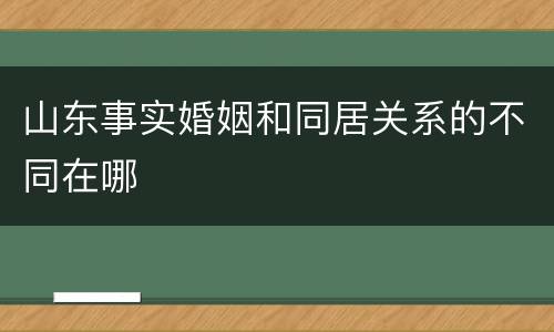山东事实婚姻和同居关系的不同在哪