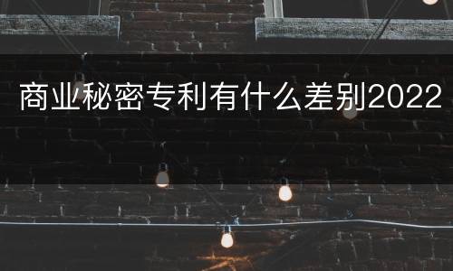 商业秘密专利有什么差别2022
