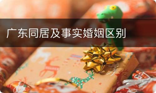 广东同居及事实婚姻区别