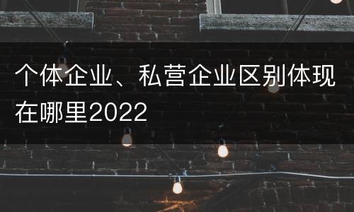 个体企业、私营企业区别体现在哪里2022