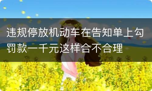违规停放机动车在告知单上勾罚款一千元这样合不合理