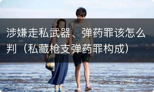 涉嫌走私武器、弹药罪该怎么判（私藏枪支弹药罪构成）