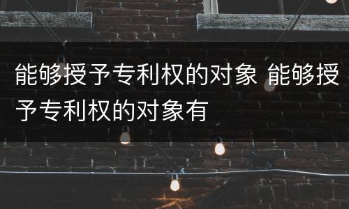 能够授予专利权的对象 能够授予专利权的对象有