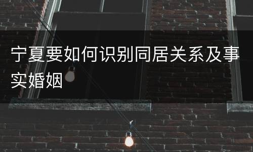 宁夏要如何识别同居关系及事实婚姻