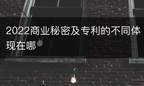 2022商业秘密及专利的不同体现在哪