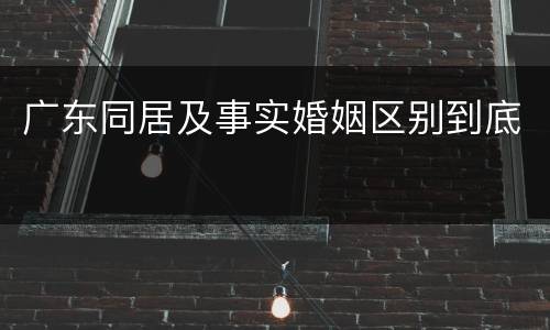 广东同居及事实婚姻区别到底