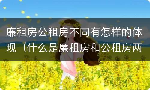 廉租房公租房不同有怎样的体现（什么是廉租房和公租房两个有什么特点）
