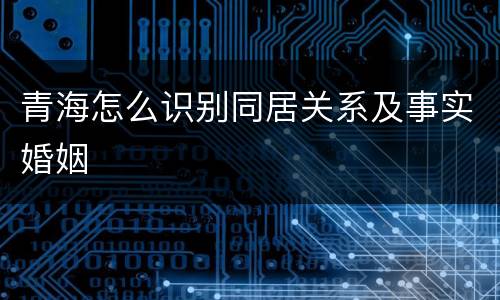 青海怎么识别同居关系及事实婚姻
