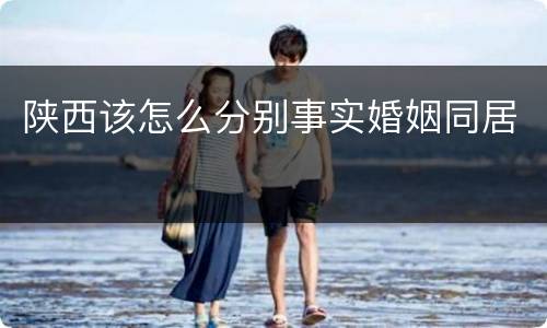 陕西该怎么分别事实婚姻同居