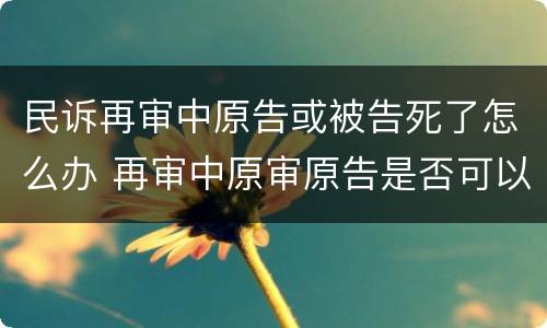 民诉再审中原告或被告死了怎么办 再审中原审原告是否可以撤回起诉
