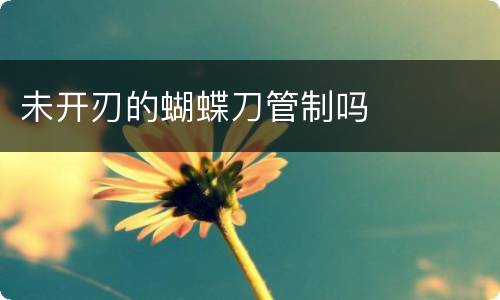 未开刃的蝴蝶刀管制吗