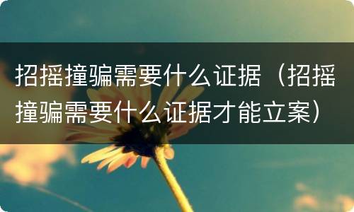 招摇撞骗需要什么证据（招摇撞骗需要什么证据才能立案）