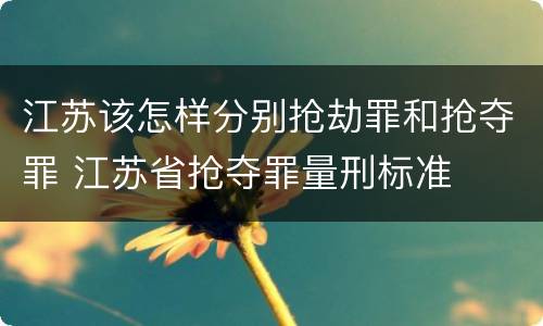 江苏该怎样分别抢劫罪和抢夺罪 江苏省抢夺罪量刑标准