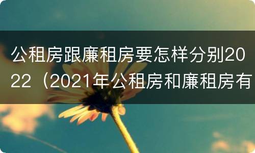 公租房跟廉租房要怎样分别2022（2021年公租房和廉租房有什么区别）