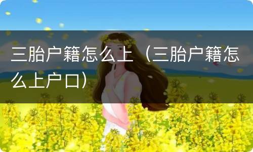 三胎户籍怎么上（三胎户籍怎么上户口）