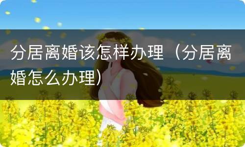 分居离婚该怎样办理（分居离婚怎么办理）