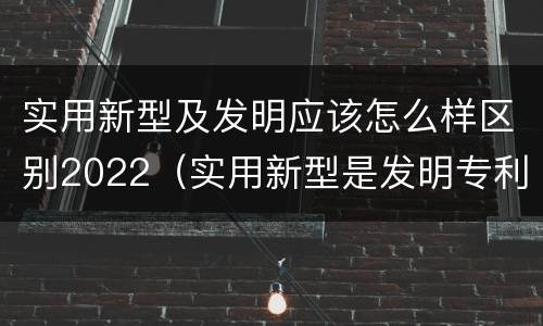 实用新型及发明应该怎么样区别2022（实用新型是发明专利吗）