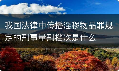 我国法律中传播淫秽物品罪规定的刑事量刑档次是什么