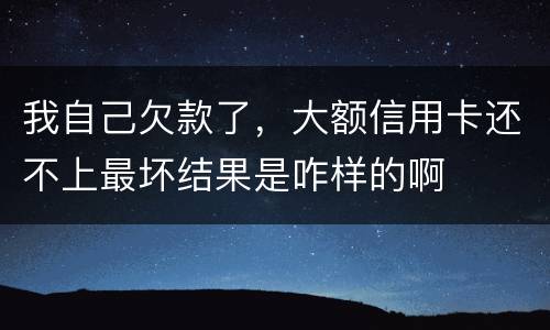 我自己欠款了，大额信用卡还不上最坏结果是咋样的啊