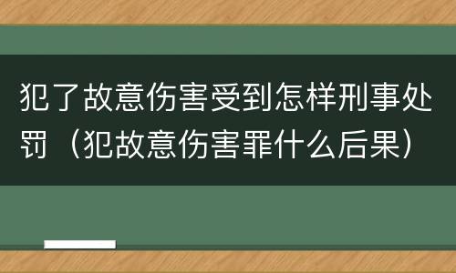 犯了故意伤害受到怎样刑事处罚（犯故意伤害罪什么后果）