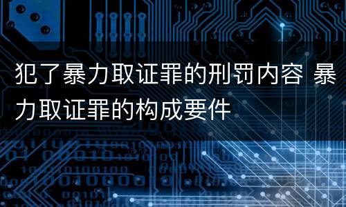 犯了暴力取证罪的刑罚内容 暴力取证罪的构成要件