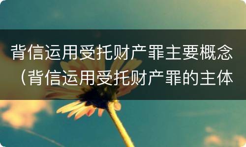 背信运用受托财产罪主要概念（背信运用受托财产罪的主体）
