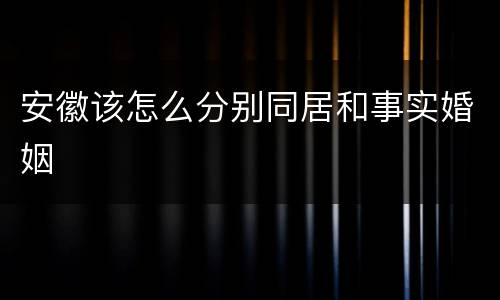 安徽该怎么分别同居和事实婚姻