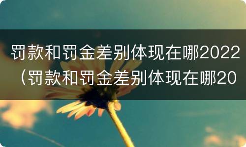 罚款和罚金差别体现在哪2022（罚款和罚金差别体现在哪2022年）