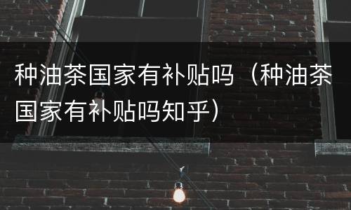种油茶国家有补贴吗（种油茶国家有补贴吗知乎）