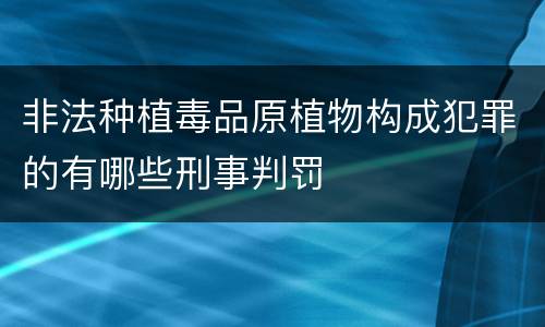 非法种植毒品原植物构成犯罪的有哪些刑事判罚