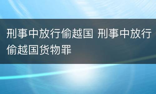 刑事中放行偷越国 刑事中放行偷越国货物罪