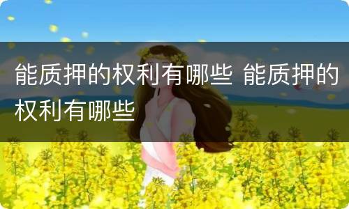 能质押的权利有哪些 能质押的权利有哪些