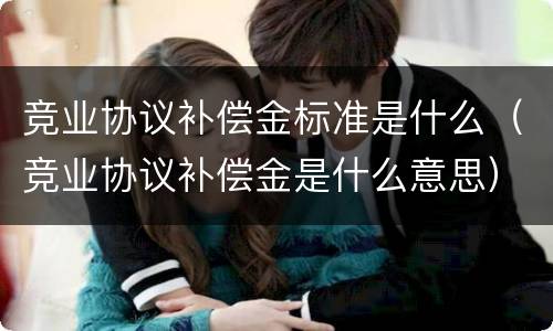 竞业协议补偿金标准是什么（竞业协议补偿金是什么意思）