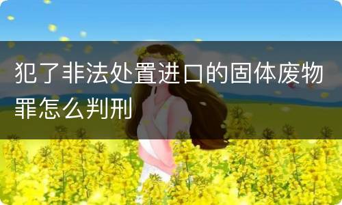 犯了非法处置进口的固体废物罪怎么判刑