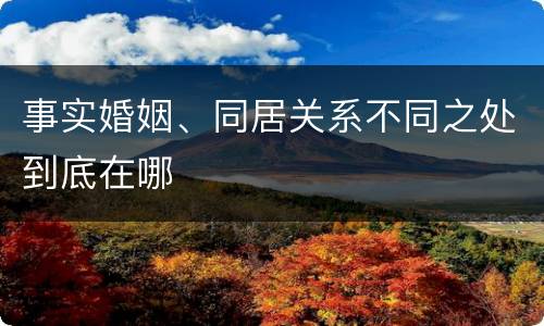 事实婚姻、同居关系不同之处到底在哪