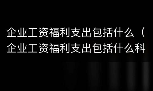 企业工资福利支出包括什么（企业工资福利支出包括什么科目）