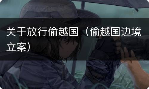 关于放行偷越国（偷越国边境立案）