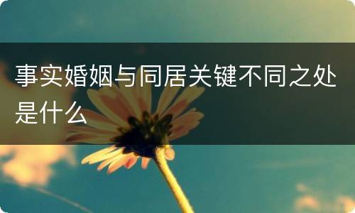 事实婚姻与同居关键不同之处是什么