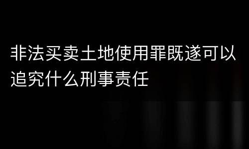 非法买卖土地使用罪既遂可以追究什么刑事责任