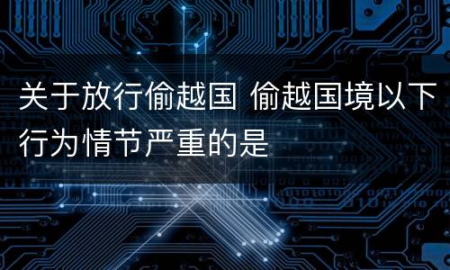 关于放行偷越国 偷越国境以下行为情节严重的是