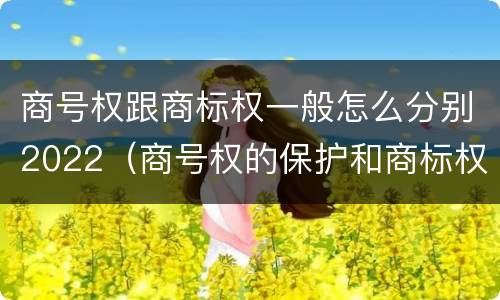 商号权跟商标权一般怎么分别2022（商号权的保护和商标权的保护一样是全国性范围的）