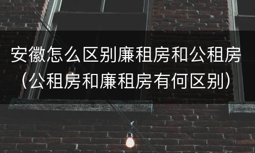 安徽怎么区别廉租房和公租房（公租房和廉租房有何区别）